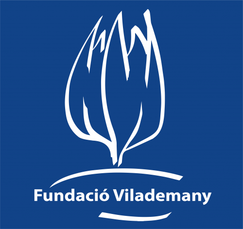 FUNDACIÓ VILADEMANY