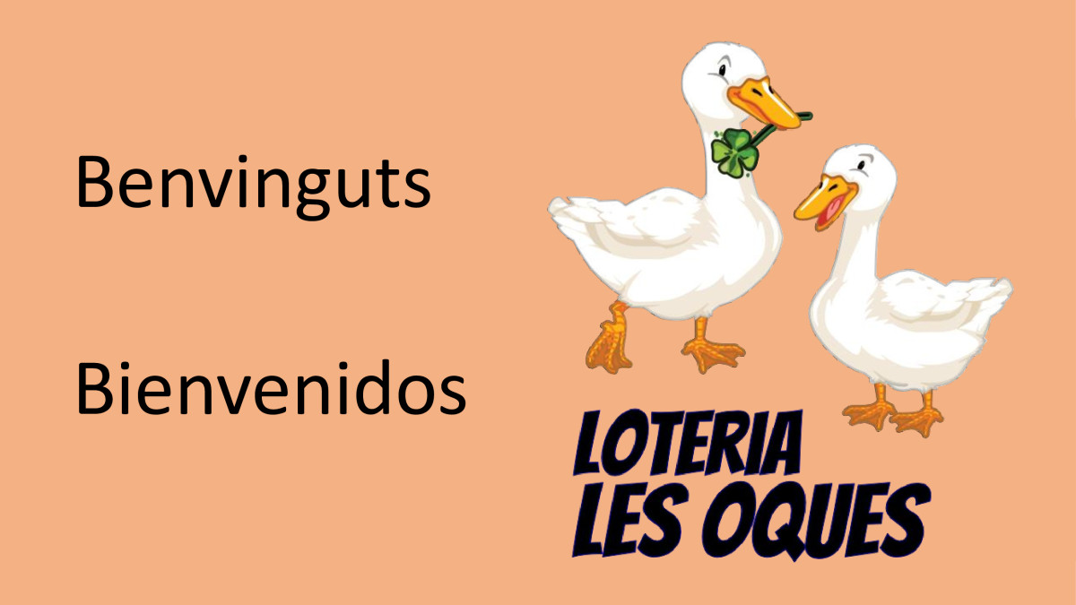    Imagen 4 para promocionar la tienda Lotería Les Oques