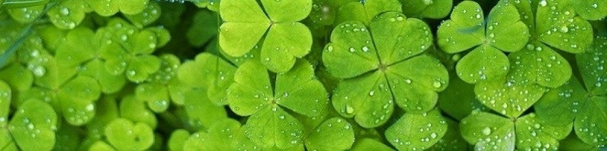    Imagen 1 para promocionar la tienda Administración Doña Paquita