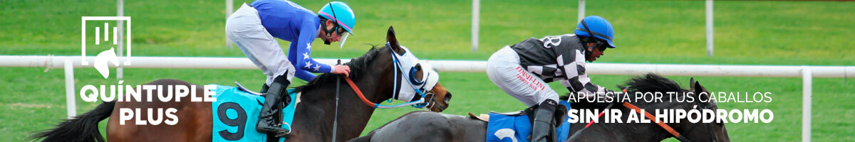    Imagen 8 para promocionar la tienda Administación 67 de Bilbao